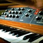 Playing MiniMoog
