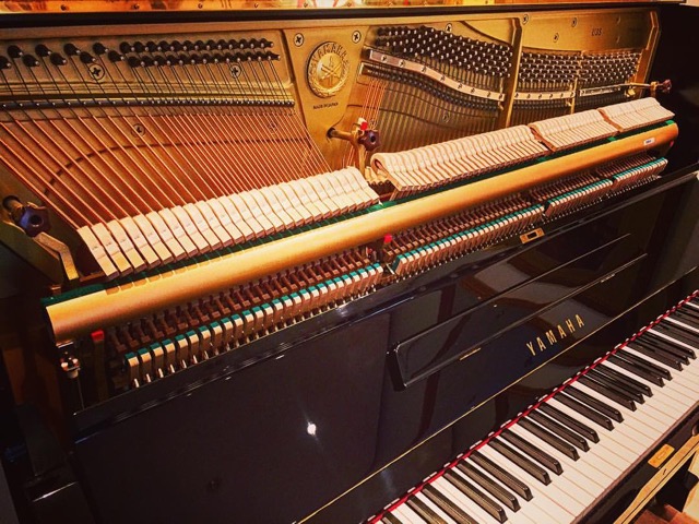 Yamaha 100 Years Edition.jpg